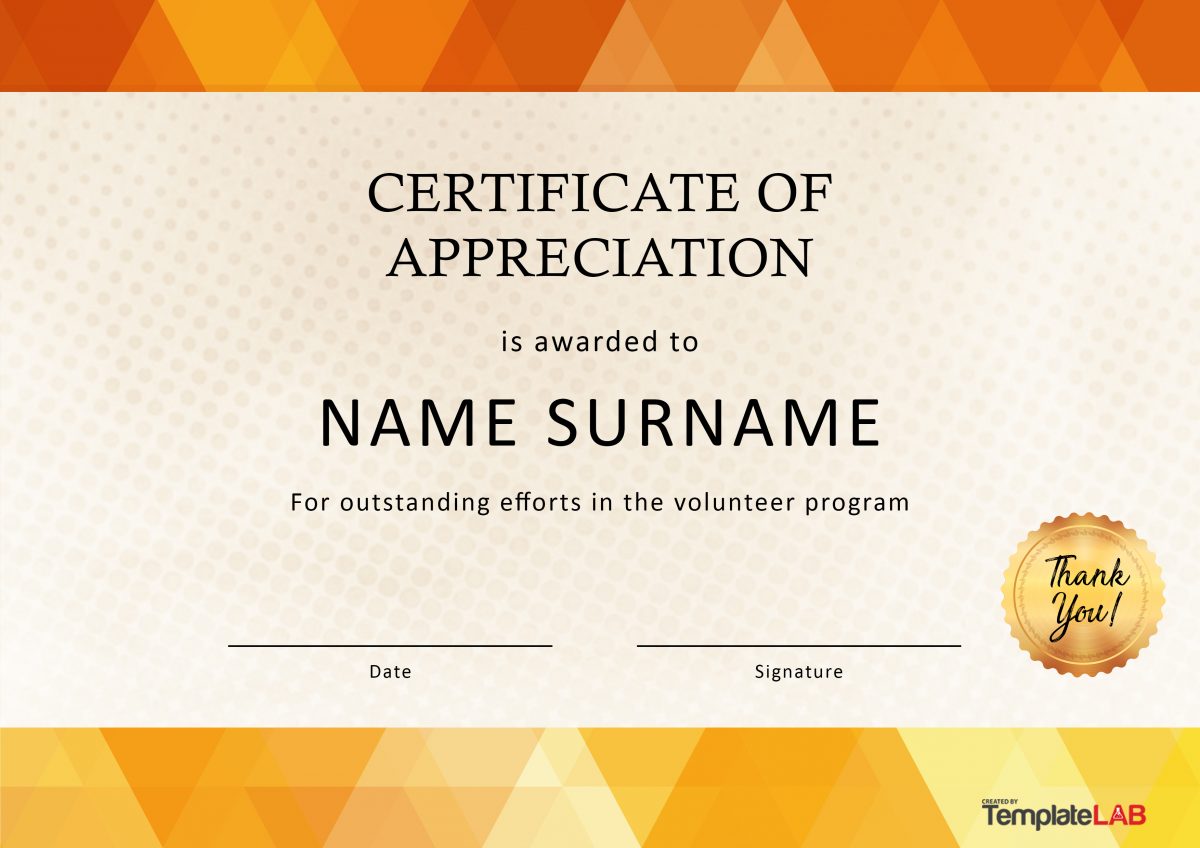 Voluntariado Gratuito Certificado de Apreciación 01