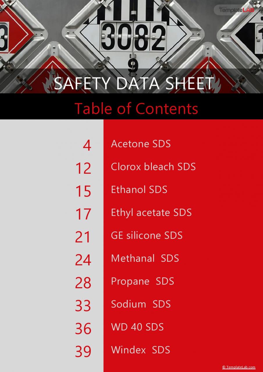 Tabla de contenido de SDS gratis