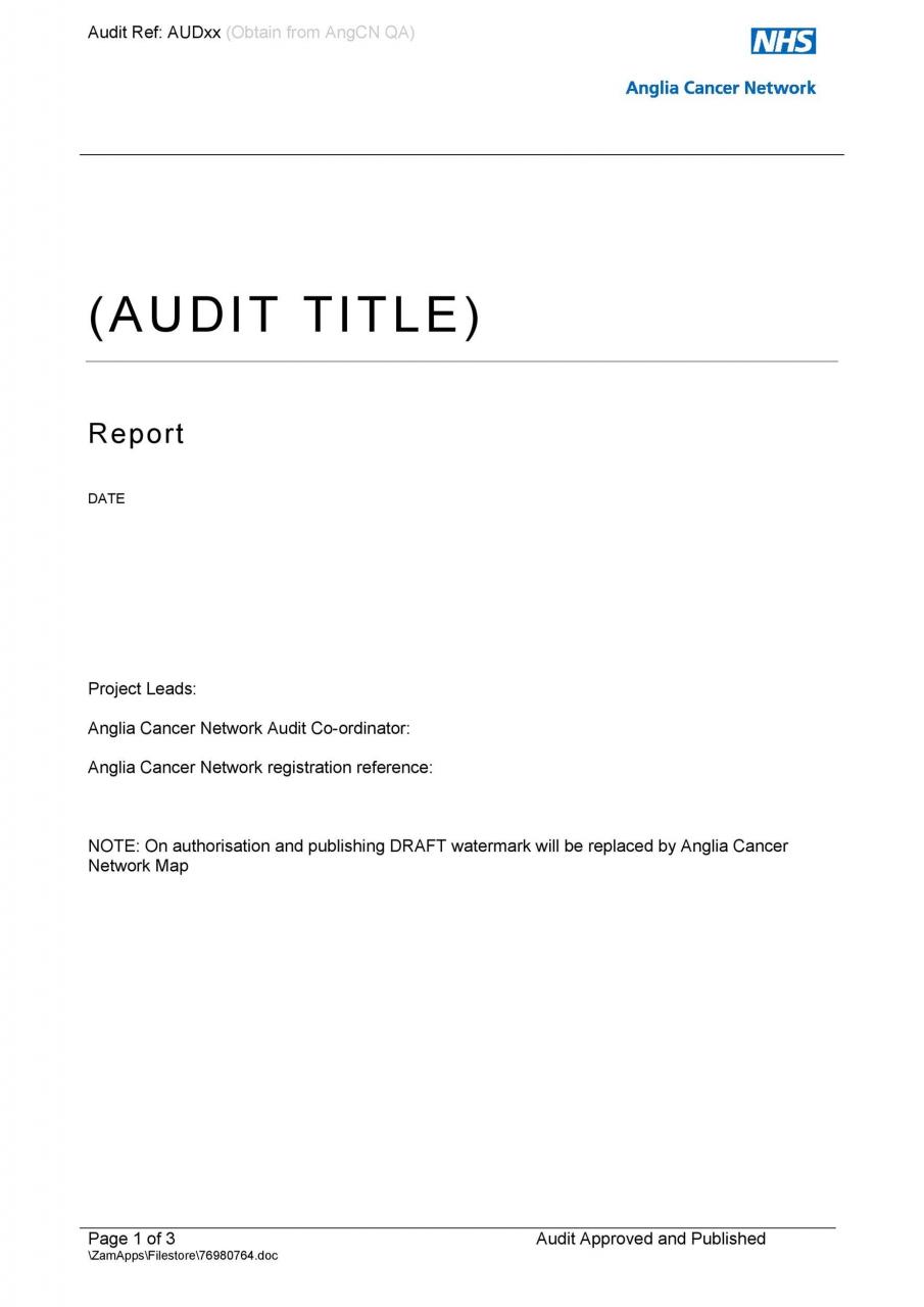 Plantilla de informe de auditoría gratuita 09