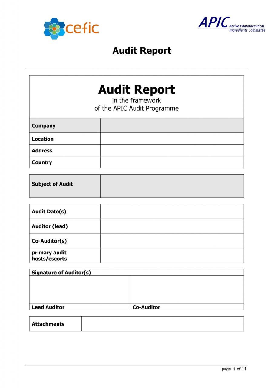 Plantilla de informe de auditoría gratuita 20