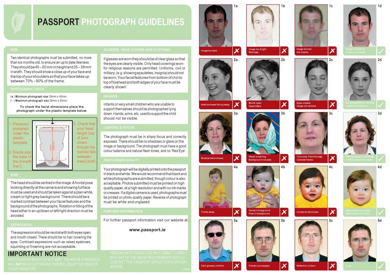 Plantilla de foto de pasaporte gratis 03