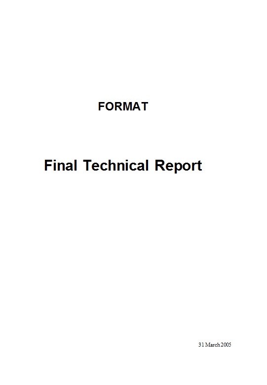 Modelo de informe técnico gratuito 35