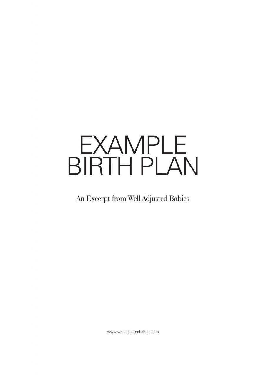 Plantilla de Plan de Nacimiento Gratis 39