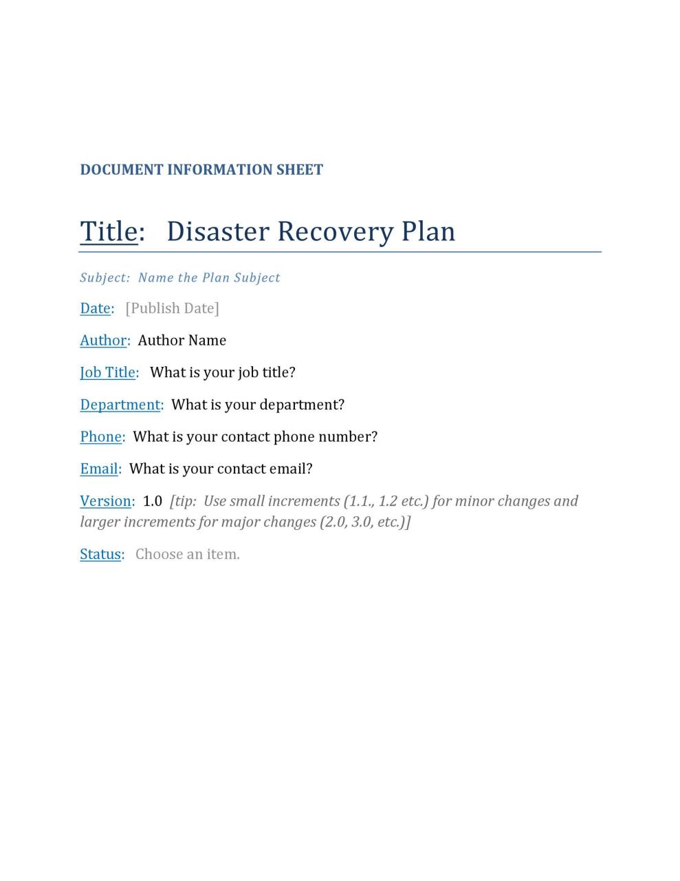 Plantilla gratuita de plan de recuperación ante desastres 06