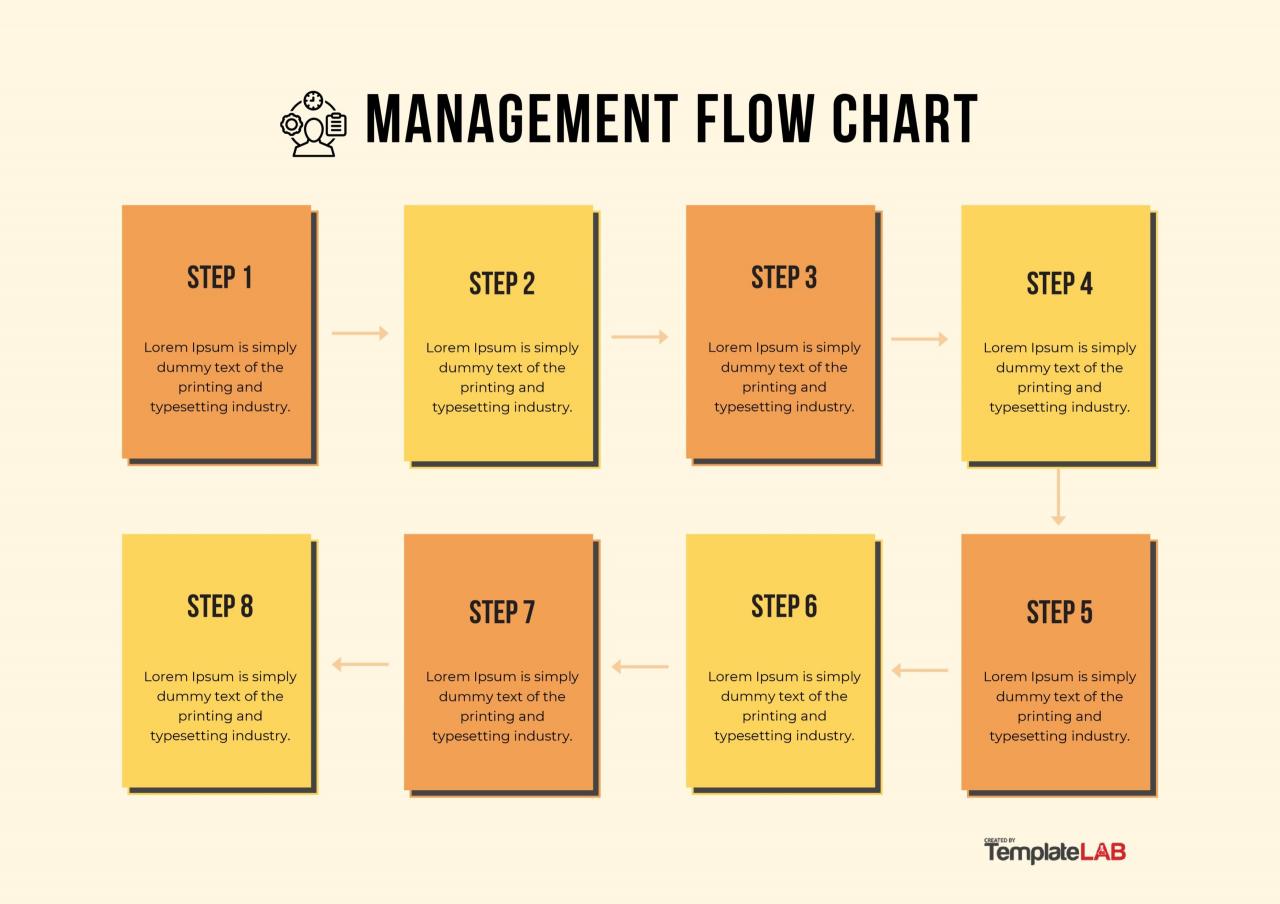 Plantilla de diagrama de flujo de gestión gratuita