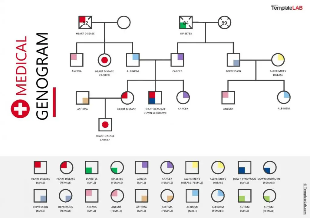 28 Plantillas Y Símbolos De Genogramas Gratuitos [Word, PowerPoint, PDF ...