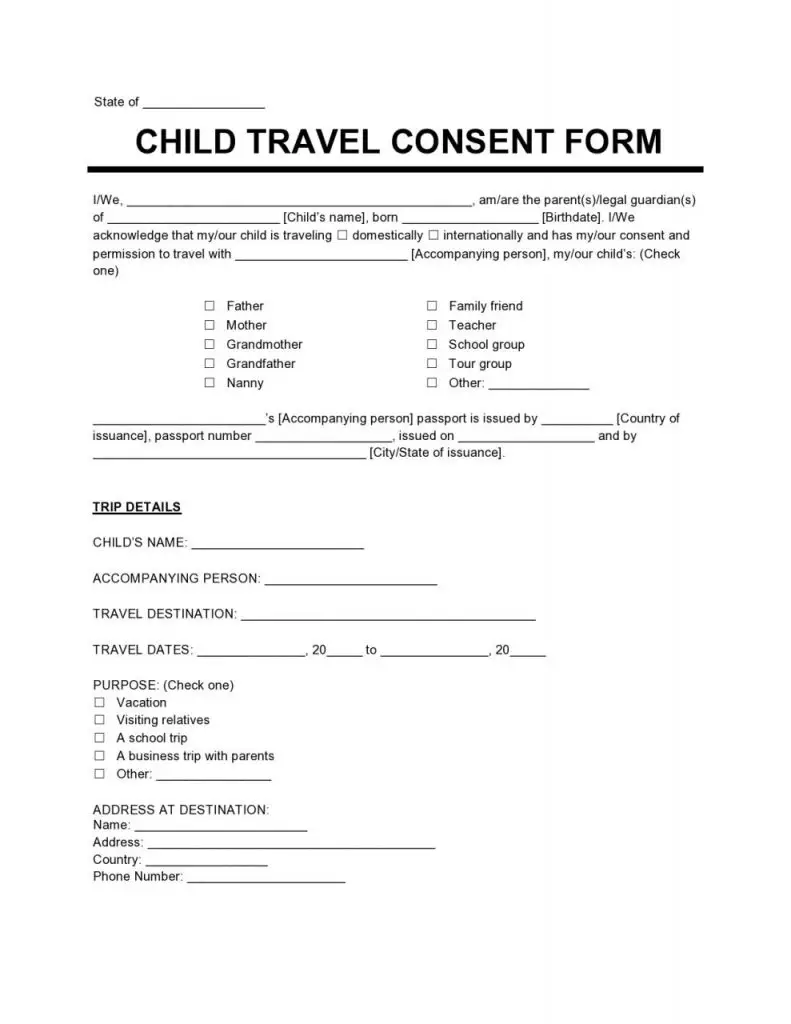 travel consent form word document